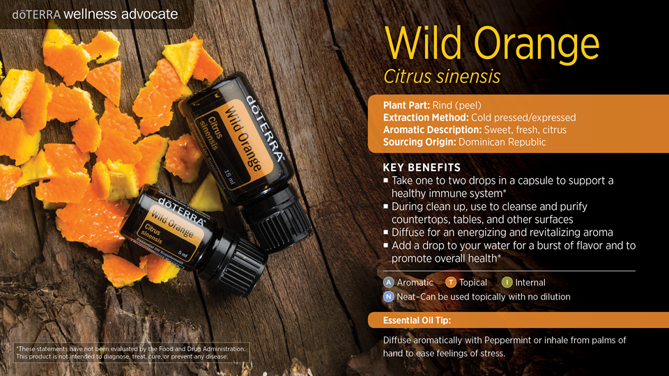 Wild Orange Essential Oil Tip Sheet